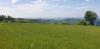 20190518_144945.jpg