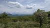 resized_IMG_20190504_134627_resized.jpg