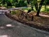 IMG_20200505_140040~2.jpg