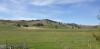 20200509_102539.jpg