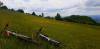 20200531_112548.jpg