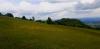 20200531_112551.jpg