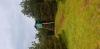 20200531_121726.jpg