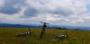 20200531_115420.jpg