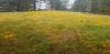 20200516_132421.jpg