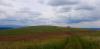 20200531_114721.jpg