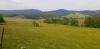 20200516_112915.jpg