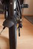 kagu-9529.jpg