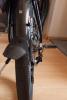kagu-9531.jpg