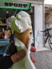 IMG_20210529_160318~2.jpg