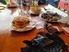 IMG_20210515_144754~2.jpg