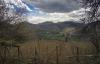 IMG_20210429_141544.jpg