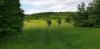 20210527_174044.jpg