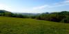 20210511_170759.jpg