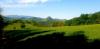 20210511_165314.jpg