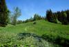 V4.jpg