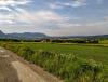 IMG_20220521_173336~2.jpg