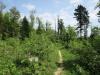 K6.jpg