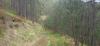 20230501_124048.jpg