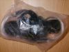 NOS ritchey 2 x 9 grip shift sachs rear side.jpg