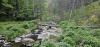 20250524_184626.jpg