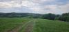 20250504_163645.jpg