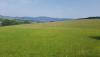 20180608_100422.jpg