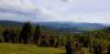 20200606_155917.jpg