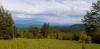 20200606_155653.jpg