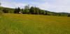 20200606_144027.jpg