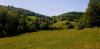 20200606_142421.jpg