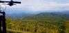 20200606_162919.jpg