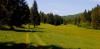 20200606_141055.jpg