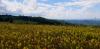 20200619_133943.jpg