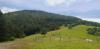 20200619_140500.jpg