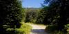 20200629_142207.jpg