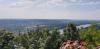 20210625_165729.jpg