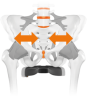 sq2 580815_4724949.png