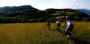 20210602_180543.jpg
