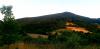 20210628_200556.jpg