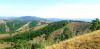 20210626_090158.jpg