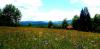 20210620_133556.jpg