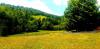 20210620_131601.jpg