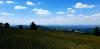 20210604_151759.jpg