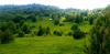 20210620_150134.jpg