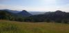 20210602_180313.jpg