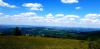 20210604_151804.jpg