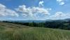 20220618_152650.jpg