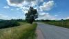 20220618_152636.jpg