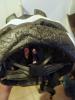IMG_20220619_132219~2.jpg